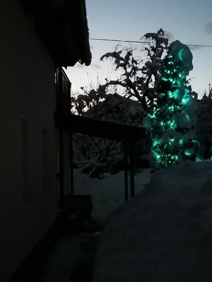 Appartement Zbogar à Rateče Extérieur photo